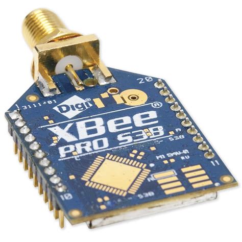 xgbet pro